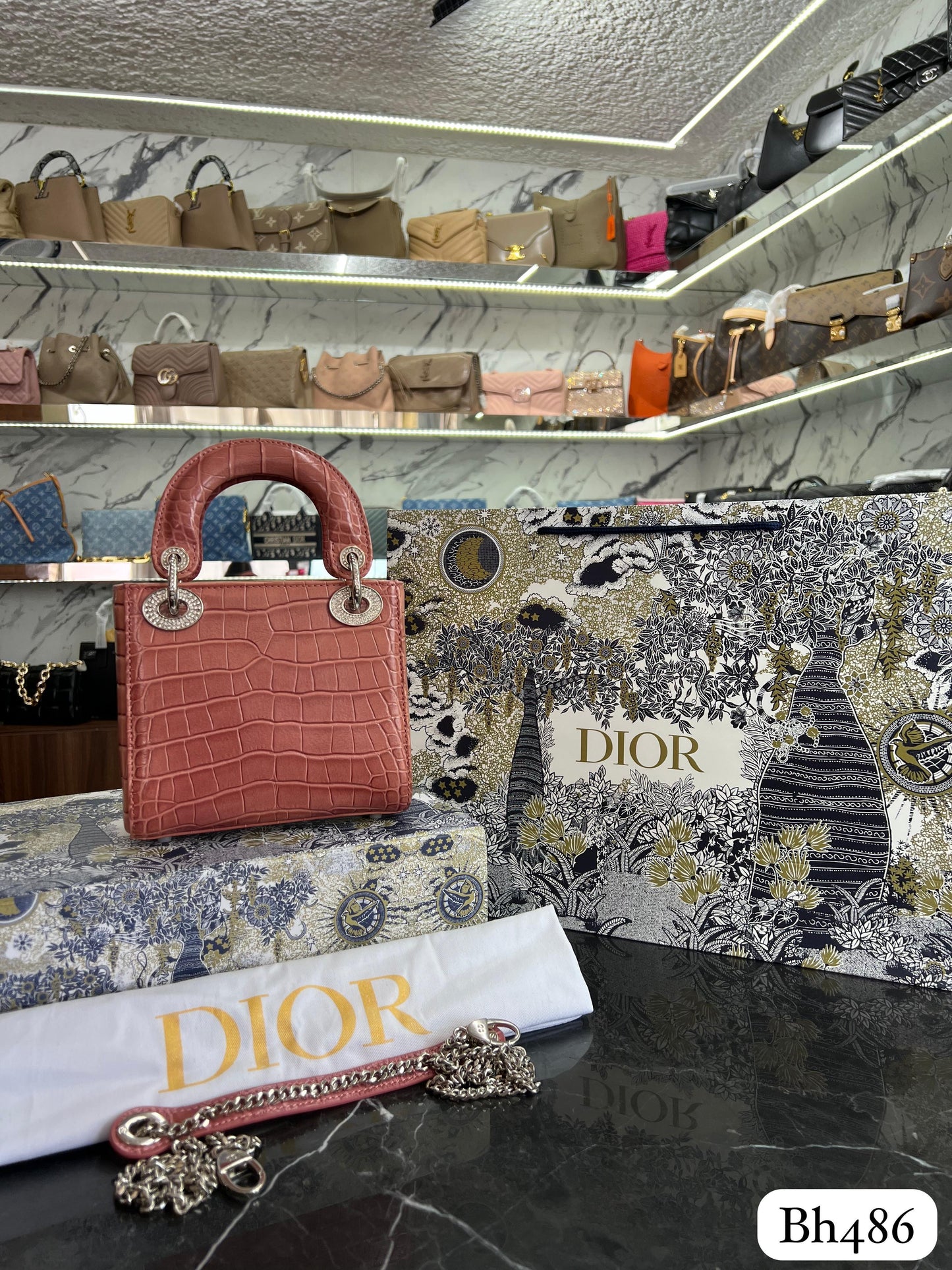 BOLSO DIOR