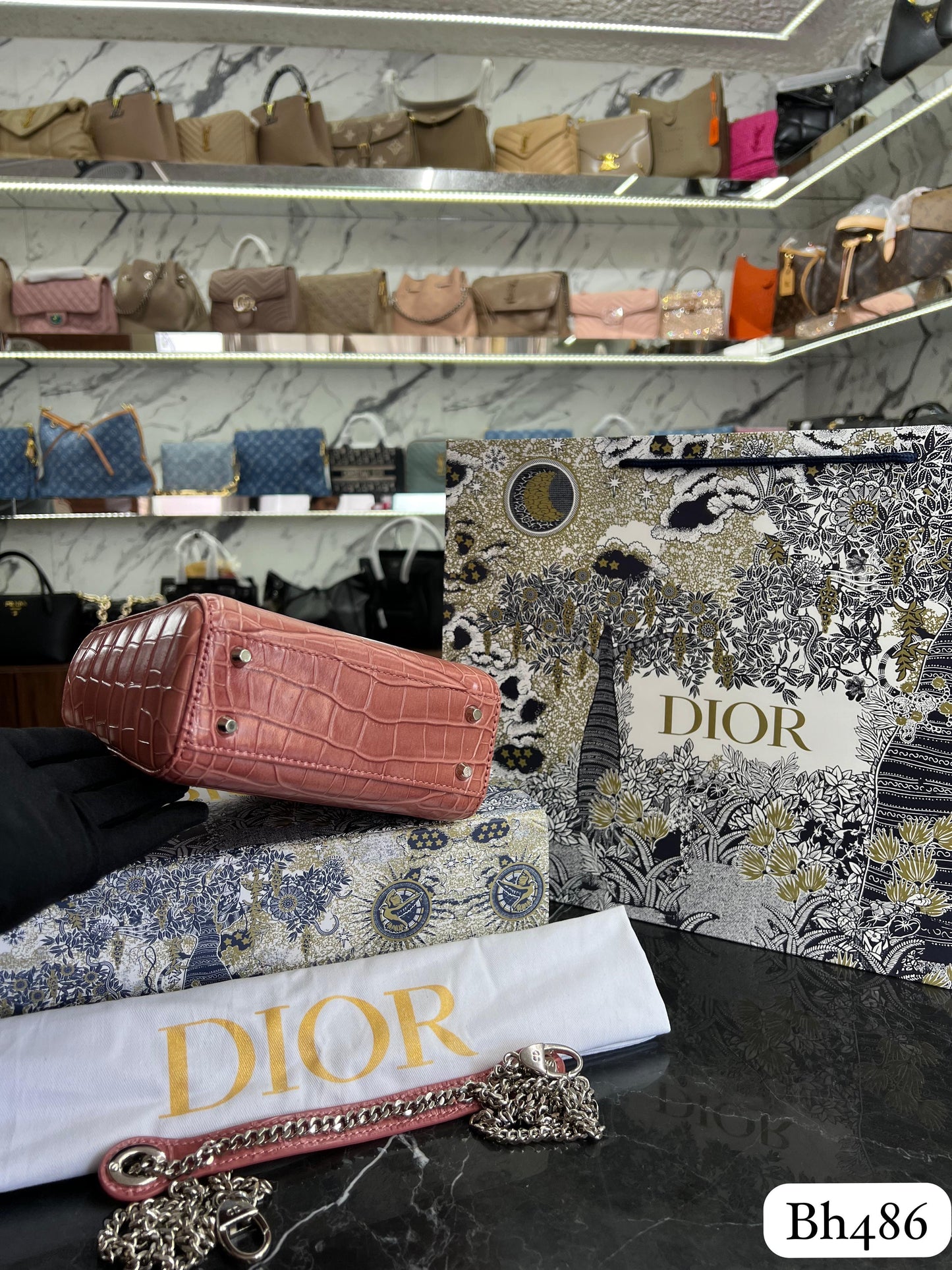 BOLSO DIOR