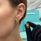 Aretes Calidad Top