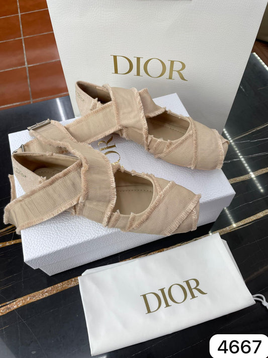 Zapatilla Dior