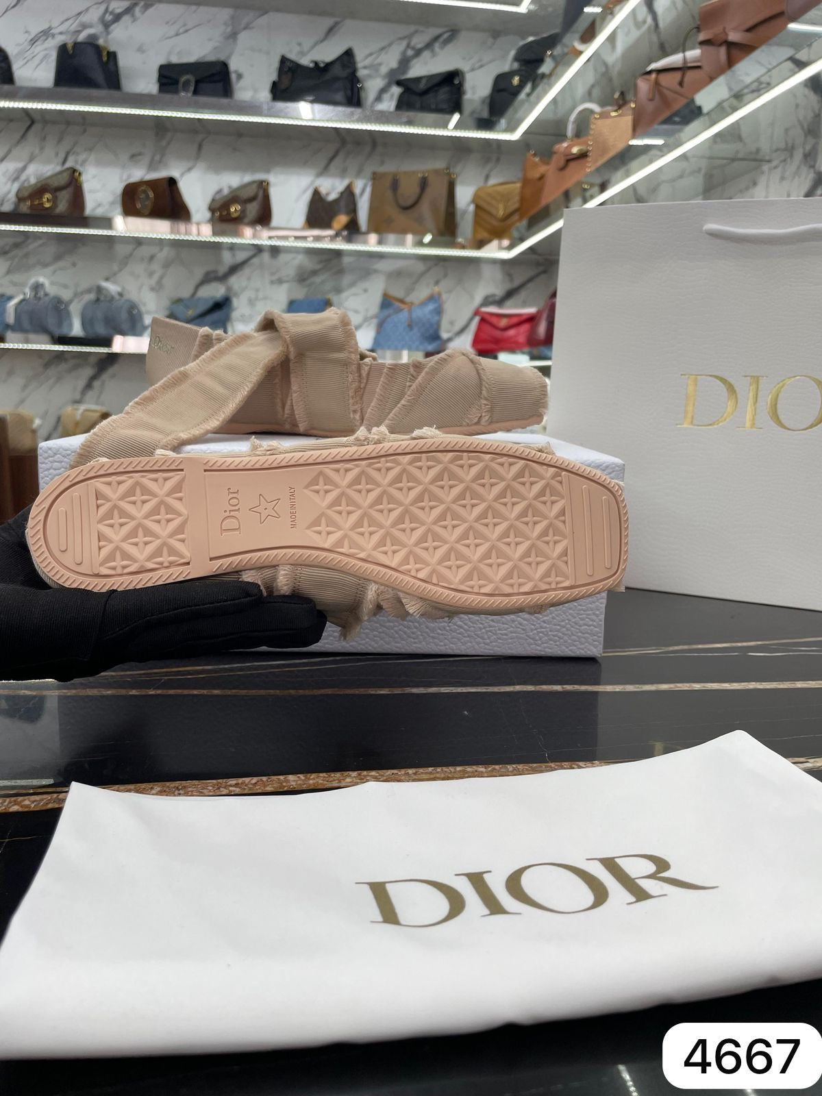 Zapatilla Dior