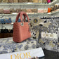 BOLSO DIOR