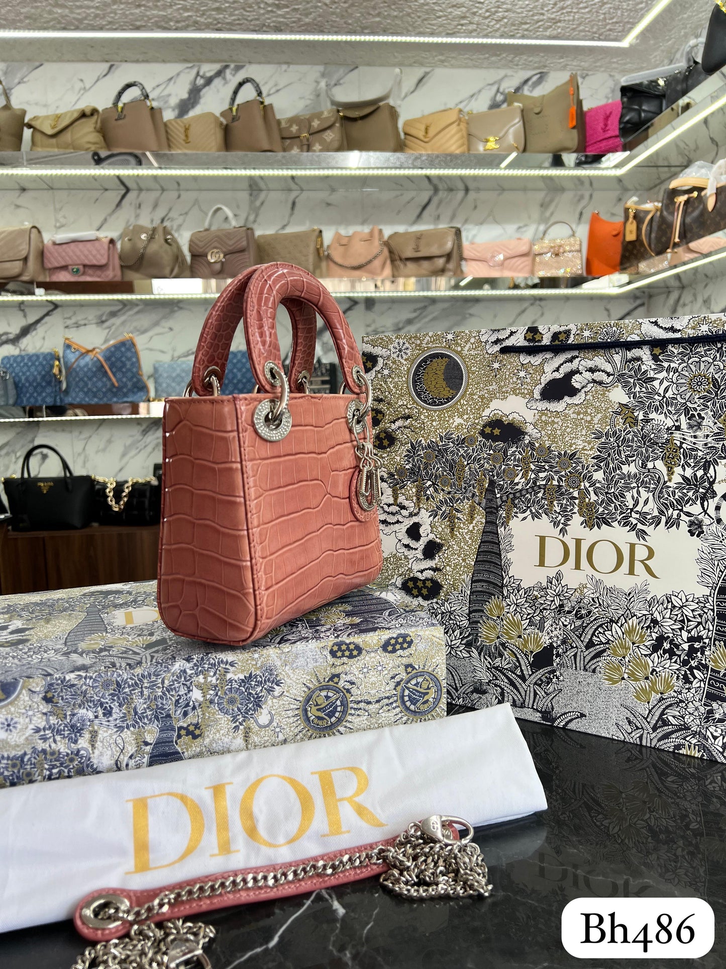 BOLSO DIOR